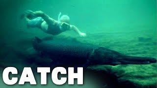 Alligator Gars Up Close and Personal  River Monsters Catch