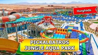 DEFINITELY BEST 4-star resort in Egypt - Pickalbatros Jungle Aqua Park Hurghada by Neverland review