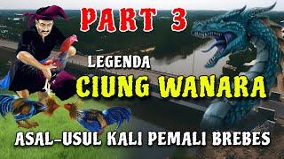 Legenda ciung wanara-asal usul kali pemali brebes & cerita kerajaan galuh #part3