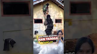 Ngakak  GRANDONG prank cewek cantik & emak ijot lagi benerin genteng rumah