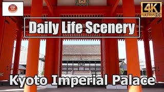 Kyoto Imperial Palace  京都御所【4K】Daily Life Scenery