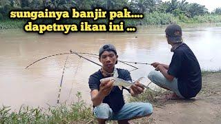 branjang ikan di saat air sungai sedang banjir... hasil nya di luar dugaan