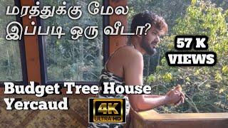 Tree House  Yercaud  Best vacation spot in Tamilnadu  Budget Tree house
