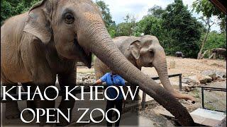 Khao Kheow Open Zoo - Chonburi Thailand