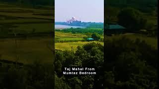 What a View #tajmahal #india #agra #travel #incredibleindia #photography #tajmahalindia #taj