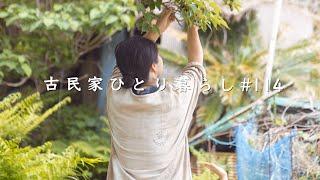 がんばりすぎない生き方。山奥の古民家に移住したある女性の日常｜西伊豆・松崎町【田舎暮らし】Live a big life on a small budget.