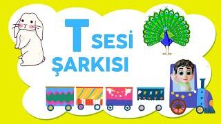 T Sesi Şarkısı  Pollkids