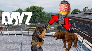 Spawning Bears on Geared Players DayZ Ps5.