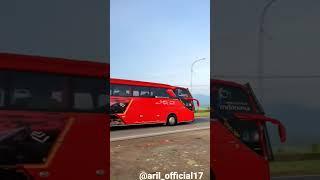 BUS JRG BUS ACEH#shorts #busaceh #busmania #bus