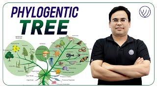 Phylogenetic Tree  Cladogram  Dendrogram  Life Tree For Csir NET Life science  Evolution Lecture