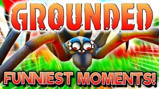 GROUNDED Funniest Moments  Glitches Fails Funny Moments