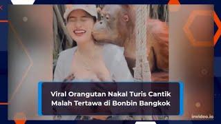 Viral Orangutan Nakal Turis Cantik Malah tertawa di Bonbin Bangkok