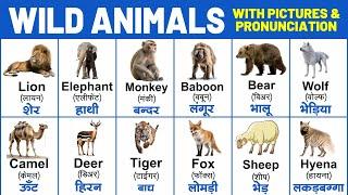 Wild animals name with spelling  wild animals name with pronunciation  animals name hindi english