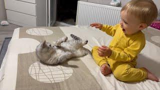 Cute Kitten Attacks Adorable Baby Boy