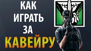 Гайд Rainbow Six Siege - Кавейра  Caveira