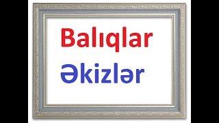 Balıqlar və Əkizlər bürclərinin uyğunıuğu  sevgidostluqyoldaşlıq 