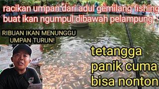 LIHAT KESERUAN ARENA MEMANCING IKAN NILA BORONGAN 5 JT JUARA ADUL GEMILANG FISHING