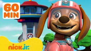 PAW Patrol Libertys Best Moments wJunior Patrollers Chase & Skye  1 Hour Compilation  Nick Jr.