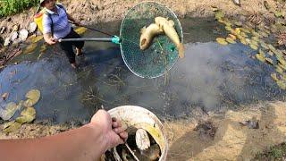 Kích Cá Bắt Cá Lóc Cá Rô Đồng Loại Khủng Ngoài Cái Rạch Nước Hoang Thật Đã Tay  Catch Fish