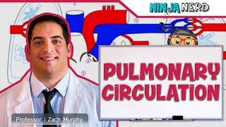 Circulatory System  Pulmonary Circulation