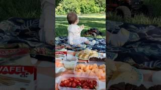 PICNIC TIME WITH FAMILY #picnic #trendingshorts #trending #trendingvideo #uzbek #reels #shorts