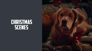 All Christmas scenes from Hawkeye