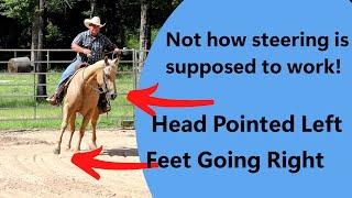 Ranch horses need to steer