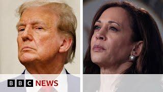 US election Is Trump or Harris leading in the polls?  BBC News