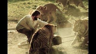 Roar A Movie Made with 150 Untrained Lions and Tigers