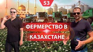 Сельское хозяйство в Казахстане. Что выращивают поддержка государства и климат