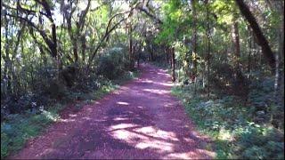 20170201 Curitiba On the Trails of Barigui Park