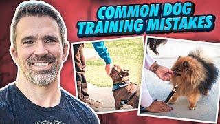 Avoid These Common Dog Training Mistakes with Nate Schoemer