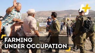 The Struggle Of Palestinian Farmers Under Occupation