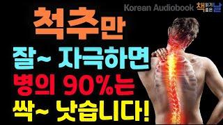 척추와 면역력의 비밀 척추만 잘 자극해도 병의 90%는 낫는다│오디오북 책읽어주는여자 korean audiobook