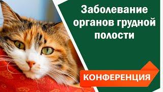 Заболевание органов грудной полости  конференция - повышение квалификации ветеринаров