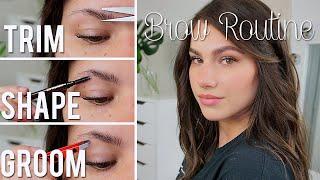 How to Trim Shape Groom & Fill In Eyebrows  Kayleigh Noelle