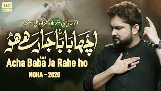 Nohay 2020  Acha Baba Ja Rahe Ho  Syed Raza Abbas Zaidi Nohay 2020  Shahzad  Ali Asghar Noha 2020