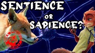 Sentient or Sapient - Whats the Difference?  Sentience in Animals Explained