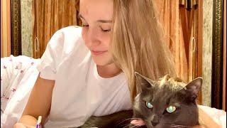 Josephine & Cat  Short film