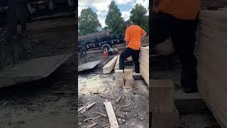 Cutting 10” Blocks with a Chainsaw #logstolumber #woodworking #chainsaw #sawmill #hardwork