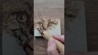 Ahşap yakma tekniği ile kedi çizimi woodburning pyrographyart pyrography 