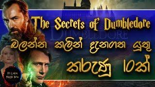 10 things to remember before watching The Secrets of Dumbledore  Sinhala  Harry Potter