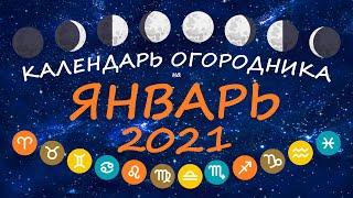 Календарь огородника на январь 2021 года. Лунный посевной календарь садовода  Флористикс Инфо