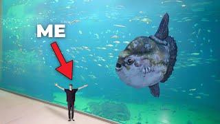 LARGEST AQUARIUM IN NORTH EUROPE - Private Tour