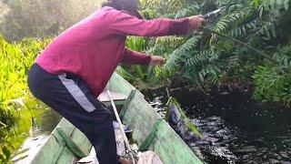 Najur dapat mama ikan toman#121