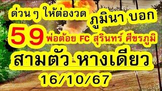 ด่วน เลvภูมินา ให้ต่อvวด สามตัว หางเดียว พ่อต้อยFCสุรินทร์ ศีขรภูมิ 161067