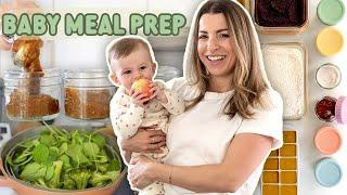 BABY FOOD MEAL PREP & RECIPES  1 Hour Meal Prep Cooking & Freezing + Baby-Led Weaning Tips