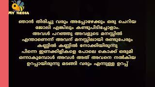 നിഷയുടെ അമ്മ വീട്..കഥ