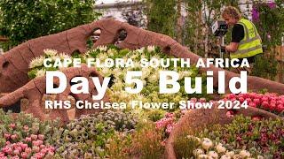 Chelsea Flower Show 2024 Day 5 build