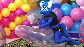 Furry Dragon Rides 36-inch Balloon in the Balloon Room